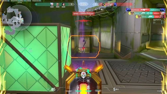 What a Zygote Silver looks like