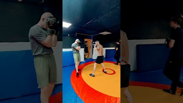 Легкий спарринг boxing бокс спб спарринг mma нокаут боксспб sports силаволи офп сфп