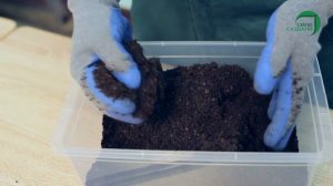 Биогумус_Сила Суздаля