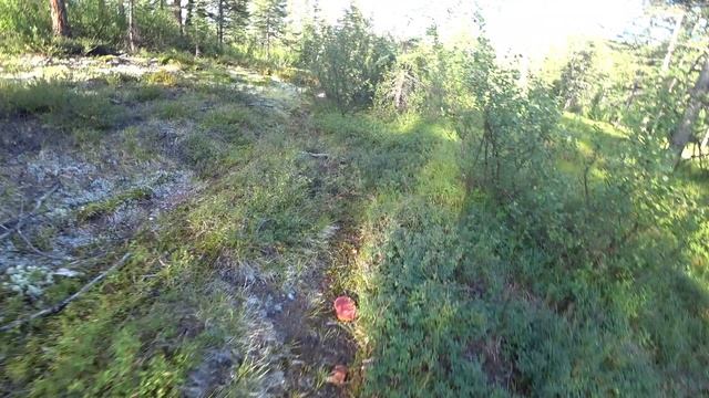 Медвежий угол . Магаданская область , сплав на пакрафтах по рекам Яма и Тахтаяма смотреть онлайн