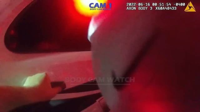 Entitled Karen Confronts Police in DUI Standoff | A Night to Forget смотреть онлайн