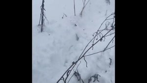 Реконструкция 23.01.2020 «Арденны 1944 г»