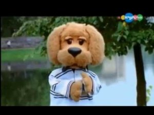 Передача "Карусель" от 01 09 2016