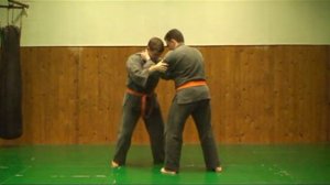 ПЛАМя - рукопашный бой - задняя подножка