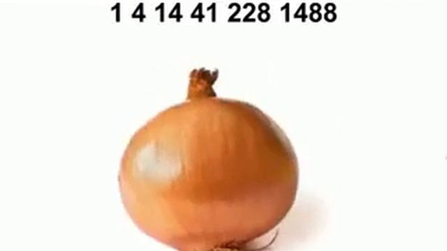 золотое сечение фрамуса