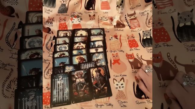 🔉🥀🩶🧡Что он о тебе говорит🩶🧡 смотреть онлайн