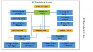 SAP MM Video Training 2 - SAP MM Organizational Structure