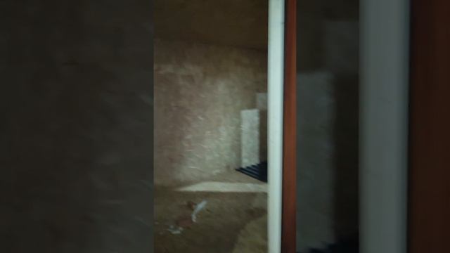 Бытовка. Утепление 100мм, дверь металл, окно ПВХ, фасад имитация бруса Штиль, внутри ОСП #shorts