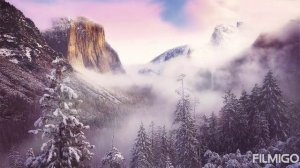 Седой туман!  Владимир Цеплиенков