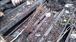 На погрузочной эстакаде в лесу нашли штабель рельс . За три дня в лесу 4 тонны металла . #металлокоп