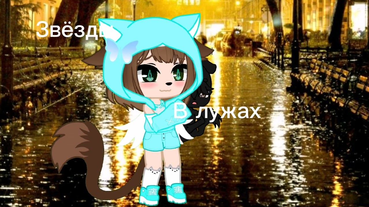 меме "звёзды в лужах" #Настя #я #МояСобака #СобакаМакс