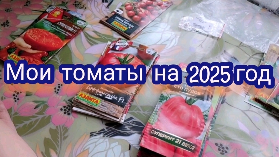 Лучшие томаты на 2025 год