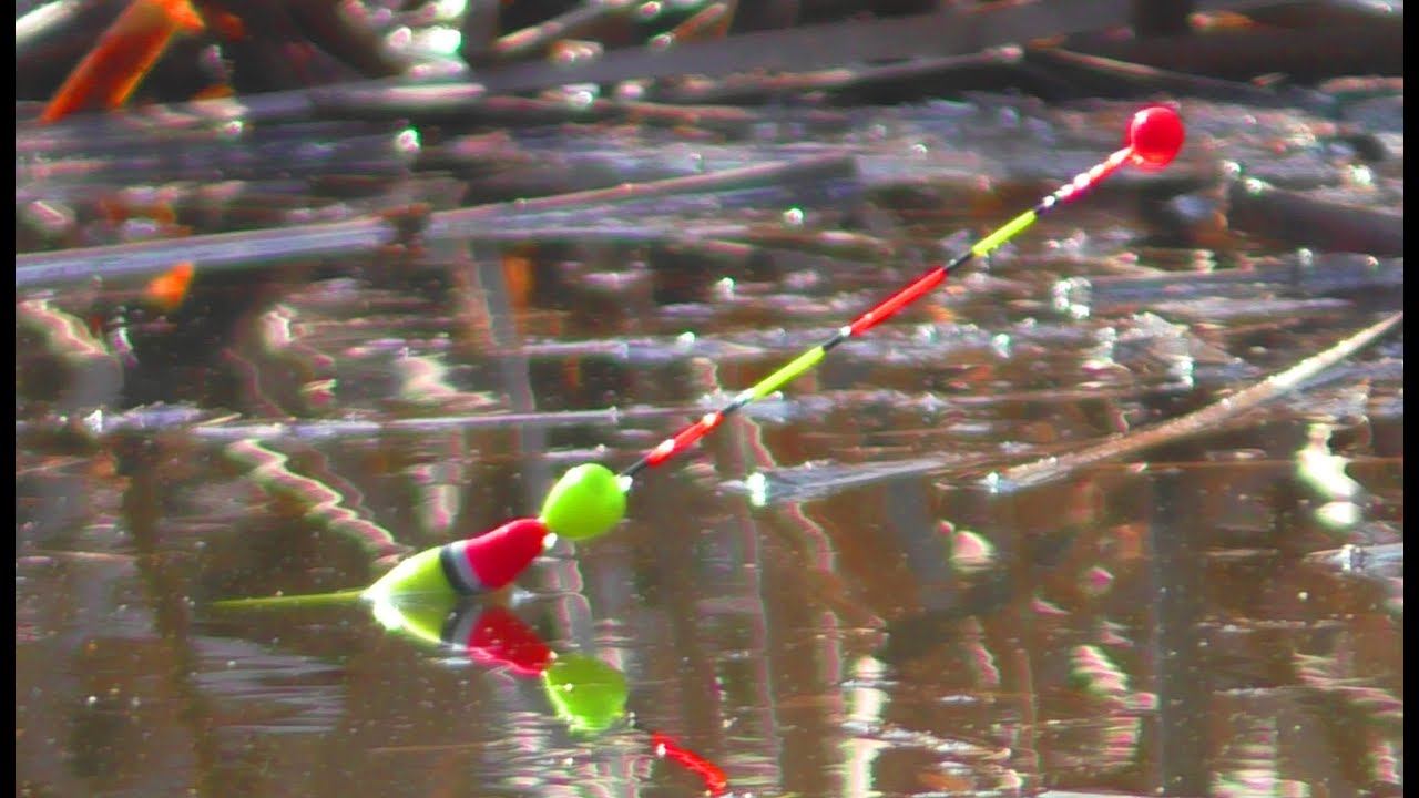 ТАКА РИБАЛКА🐟🐟 ТІЛЬКИ РАЗ НА РІК. 🎣 Рибалка на поплавок. Крупний карась. Риболовля 2024.