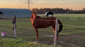 12581017_1920_1080_30fps