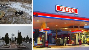 30.11.2024 г День со мной/ Собака Дизель/ Лужковское кладбище