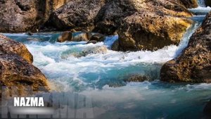 Дидигов Билухьаж «Чергазий» (черкесский конь)