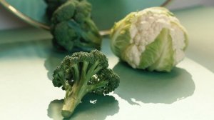 5802023-hd_1920_1080_25fps