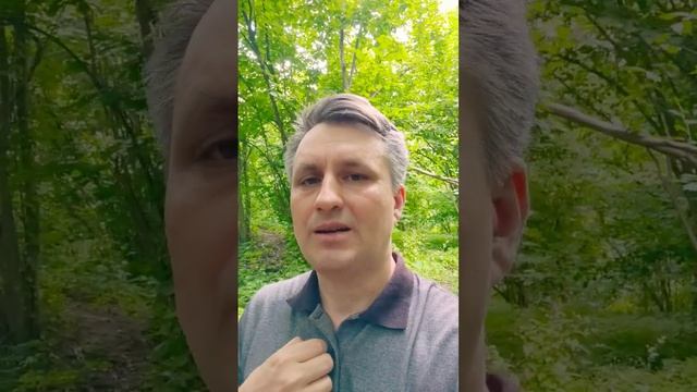 Как описание целевой аудитории влияет на создание сайта, на примере услуги - банкротство для физ ли