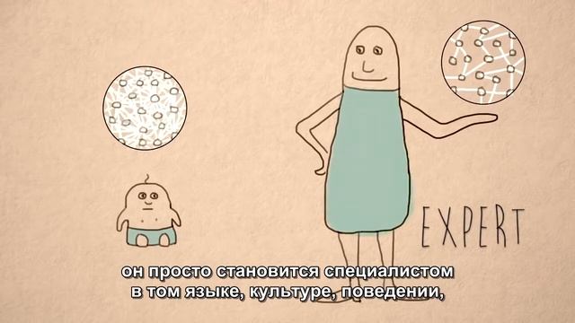 Нейрофизиология детского разума  развитие мозга новорождённого