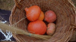 5602272-uhd_4096_2160_24fps