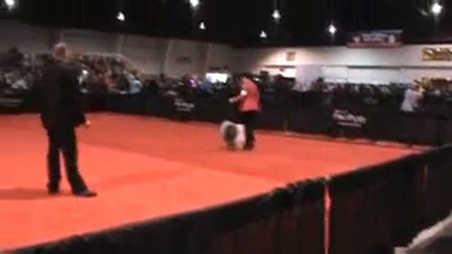 Purina March 10 смотреть онлайн