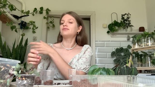 РАЗГОВОРНАЯ ПЕРЕСАДКА И ЧЕРЕНКОВАНИЕ НЕПРИХОТЛИВЫХ РАСТЕНИЙ 🪴