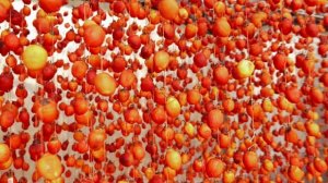 10928609-hd_3840_2160_25fps