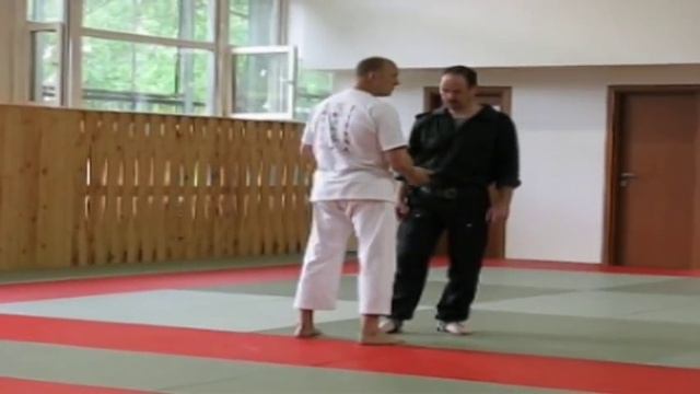 Годзю-рю - Удары ногами ниже пояса смотреть онлайн