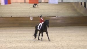 Предварительный Приз Дети, Откровенный Доминант и Сандра Набатникова.