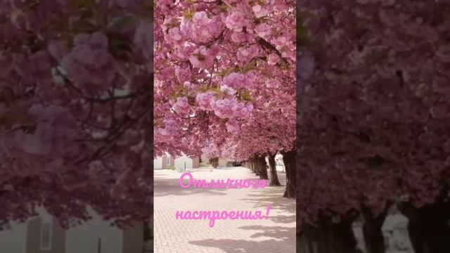 #доброеутро #пожелания #отличногонастроения #радость #длядуши