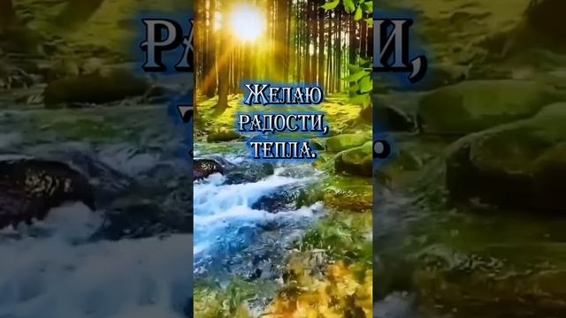 #добрыйдень смотреть онлайн