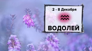 ВОДОЛЕЙ ♒ 2 - 8 Декабря 2024 | Расклад таро на неделю для знака Зодиака Водолей