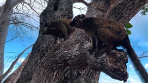 17799964-uhd_3840_2160_25fps