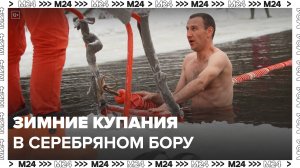 Новый домик для любителей зимних купаний открыли в Серебряном бору - Москва 24