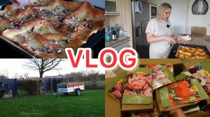 VLOG🇩🇪: БЛИН ИЗ ДУХОВКИ 🥞/ ДОМАШНИЕ ДЕЛА/ СКОЛЬКО ТЮЛЬПАНОВ 😻