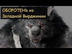 Оборотень в лесах Западной Вирджинии (Задокументировано №26)