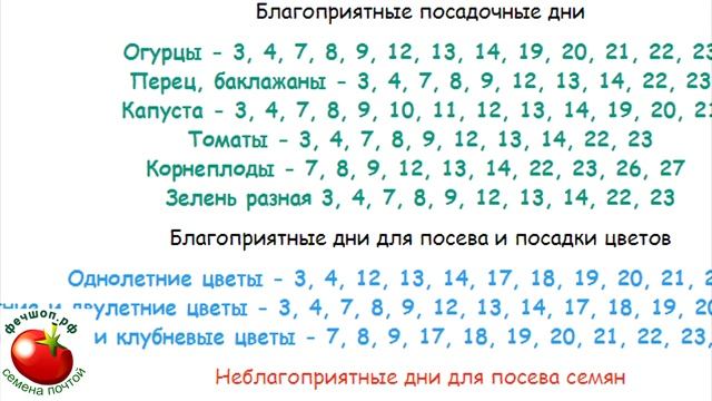 Когда сеять перец на рассаду в 2022 году?