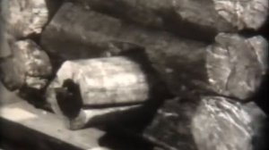 Учебный фильм. Древний Новгород