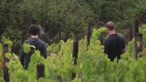 857092-hd_1280_720_24fps