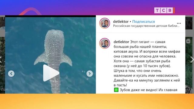 Топ самых полезных блогов в Instagram для мам