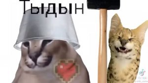 что с утра помоганда?