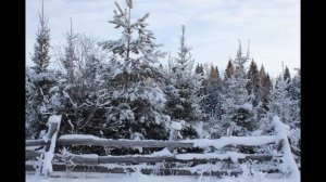 Родные места  д  Юшкова Тугулымского района