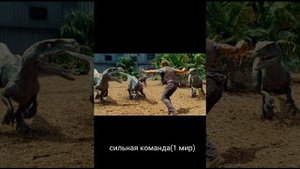 эволюция рапторов из парка в мир💪❤️(атроцираптор и пирараптор это другие виды поэтому их тут нет)