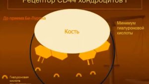 Доктор Нильс Душек история разработки Би Лурон B Luron