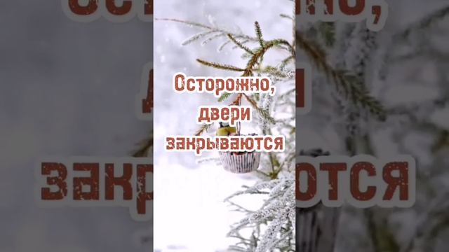 В декабрьский путь: поезд как билет в зимнее чудо #ПоездВЗиму #ЗимнееЧудо #ПутешествиеНаПоезде #Зимн