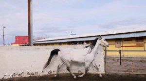 20084214-hd_1920_1080_30fps