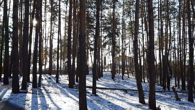 Будинок (дуплекс) в Київській області, місто Ірпінь, район Стоянка.