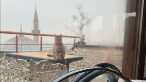 Про новый аэропорт Стамбула. Особенности, тонкости. Сколько времени закладывать в данном аэропорту.