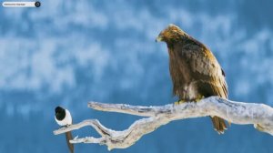 #Islam#Quran#AlFurqan#ٌMinshawiy#Коран#АльФуркъан#СамыеКрасивыеМеста#Relaxation#4кВиде#6часть#