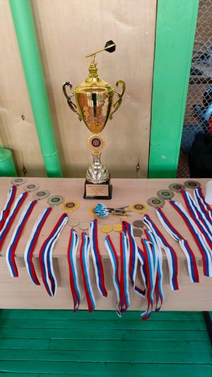 дартс курэзэ